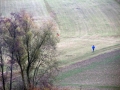 crosslauf-feuchtwangen-2011-123-von-155