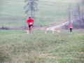 crosslauf-feuchtwangen-2011-127-von-155