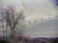 crosslauf-feuchtwangen-2011-52-von-155