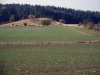 Crosslauf-Flachslanden-2011-Dahmen-dscf1394