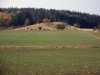 Crosslauf-Flachslanden-2011-Dahmen-dscf1395