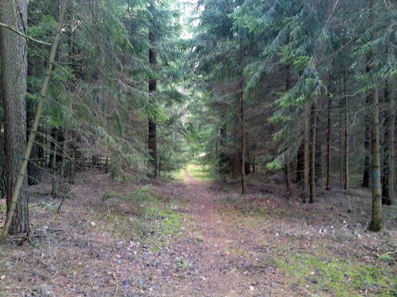 laufen-hauswaldstrecke-12-04-2012-008