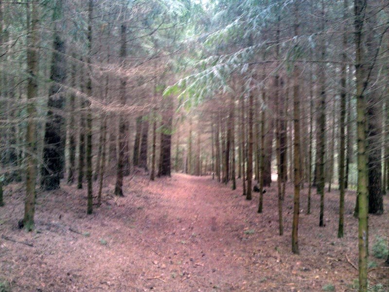 laufen-hauswaldstrecke-12-04-2012-010