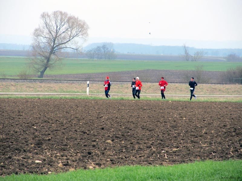 rieskraterlauf-2012-oettingen-halbmarathon-041